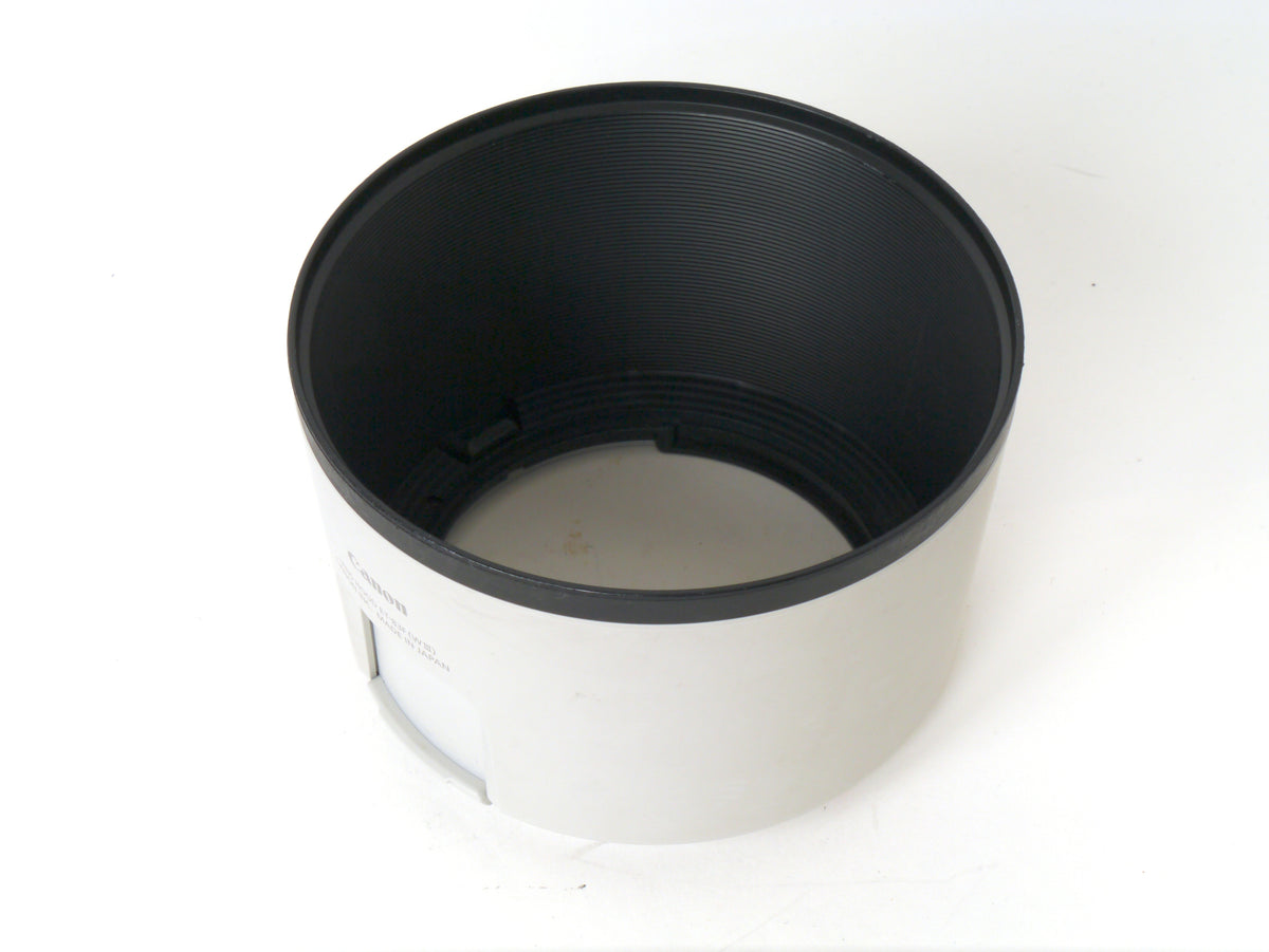 Canon RF 70-200mm F2.8L IS USM – Gut