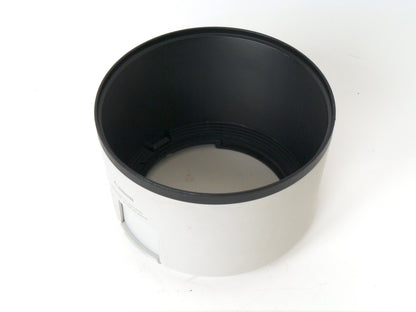 Canon RF 70-200mm F2.8L IS USM – Gut