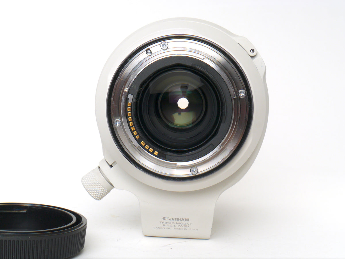 Canon RF 70-200mm F2.8L IS USM – Gut