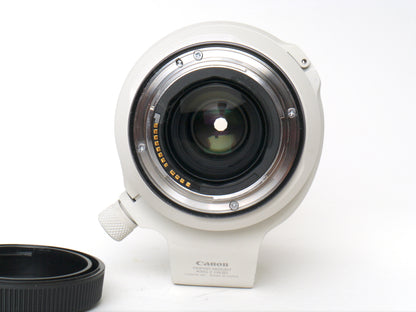 Canon RF 70-200mm F2.8L IS USM – Gut