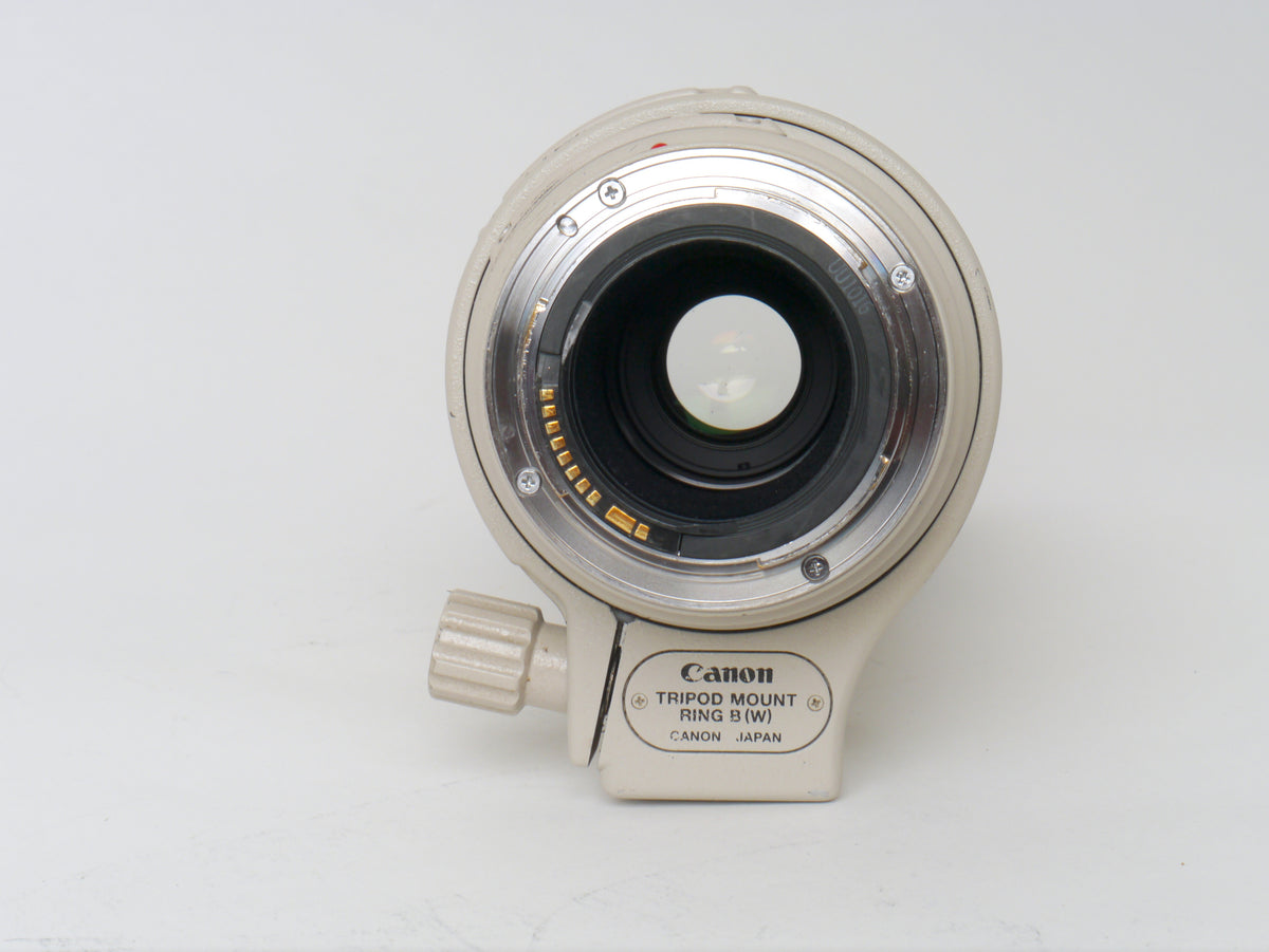 Canon EF 4,5-5,6/100-400mm L IS USM – Gebraucht